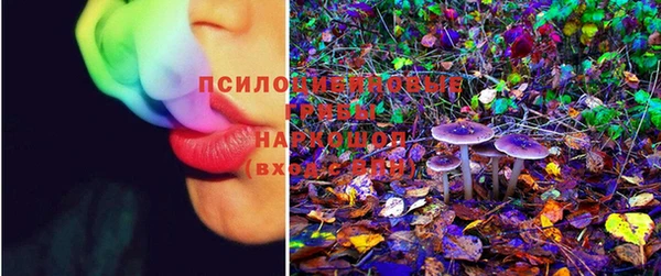 мет Балахна